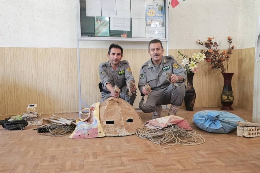 به دام انداختن متخلفین زنده گیری پرندگان در آباده