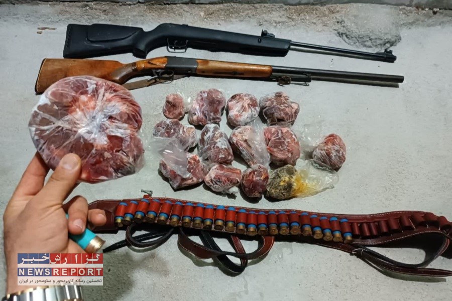 شناسایی و دستگیری متخلفان شکار غیر مجاز یک فرد بز وحشی در شهرستان قیروکارزین