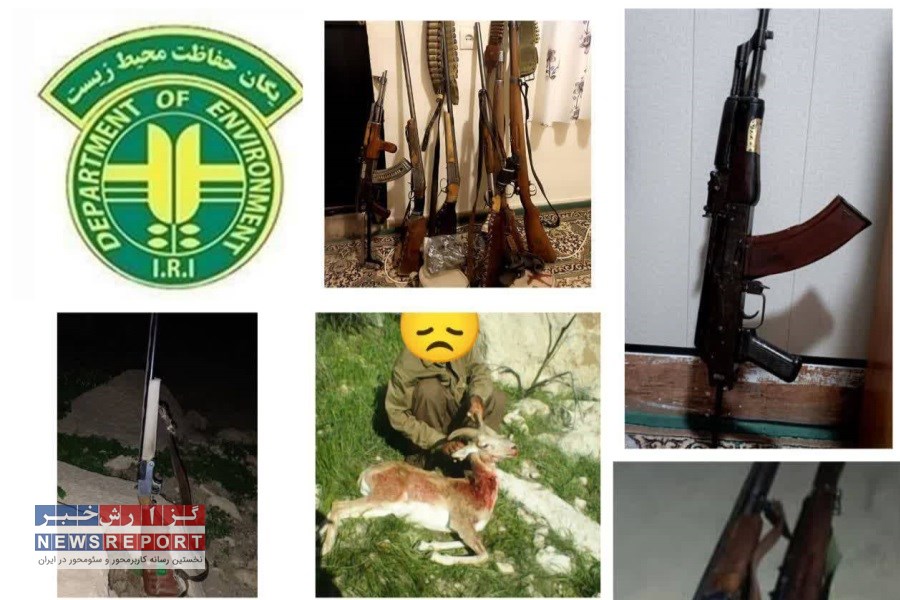 17 قبضه سلاح از متخلفین در شهرستان فراشبند کشف و ضبط شد