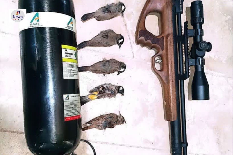 کشف اسلحه غیرمجاز و لاشه پرندگان وحشی در قیروکارزین