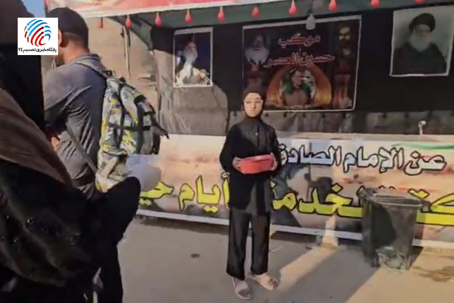 اقدام ارزشمند یکی فرهنگی در مسیر نجف به کربلا