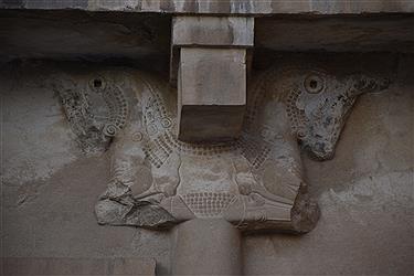 تصویر سنگ نگاره های تخت جمشید