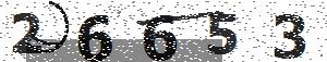 تصویر امنیتی