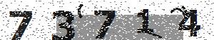 تصویر امنیتی